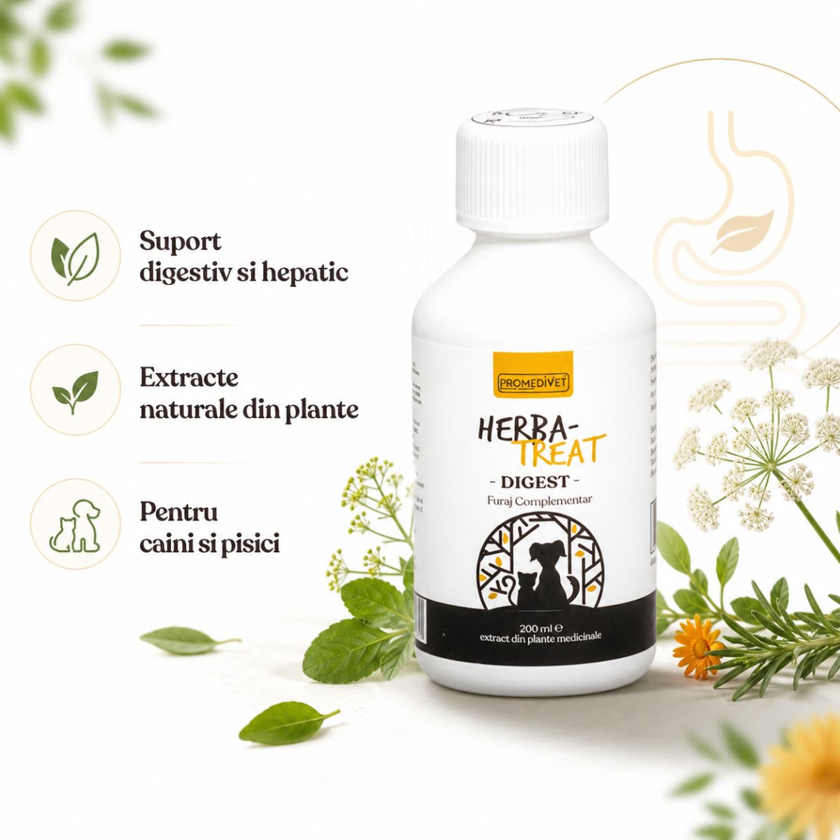 PROMEDIVET Herba-Treat Digest Hepatoprotector, supliment sistem digestiv câini, suspensie orală PROMEDIVET Herba-Treat Digest Hepatoprotector, XS-XL, supliment sistem digestiv câini și pisici, flacon, 200ml suspensie orală - imagine 4